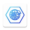大师兄影评